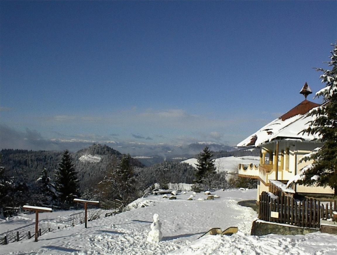 Biolandhaus Arche Eberstein Ngoại thất bức ảnh